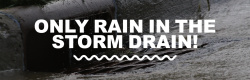 storm_drain_info_page_graphic-2 (1)